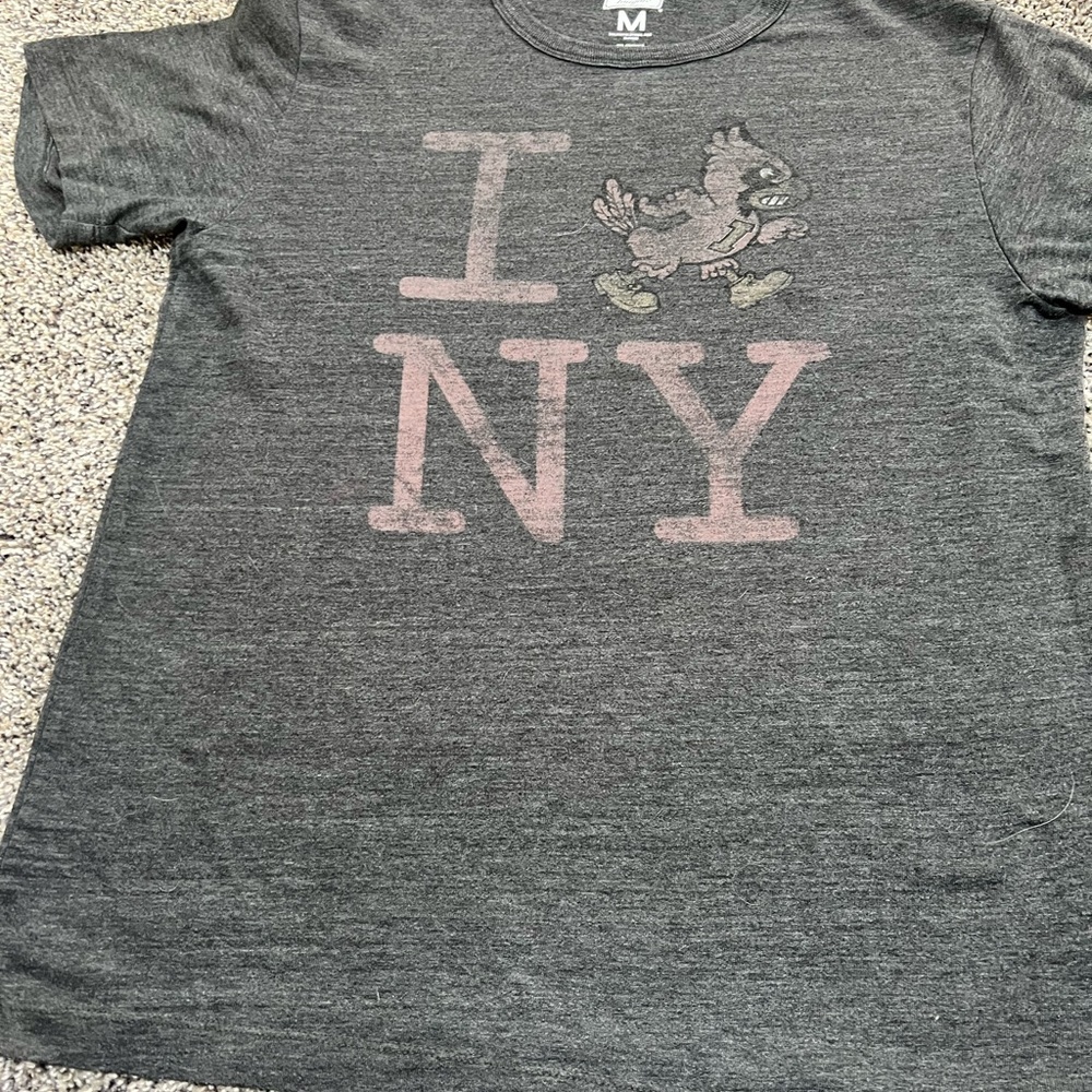 Tailgate Gray Graphic T-Shirt